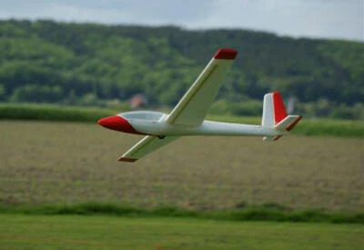 CAUSEMANN Swift Kunstflugsegler, Shockflyer Parkflyer