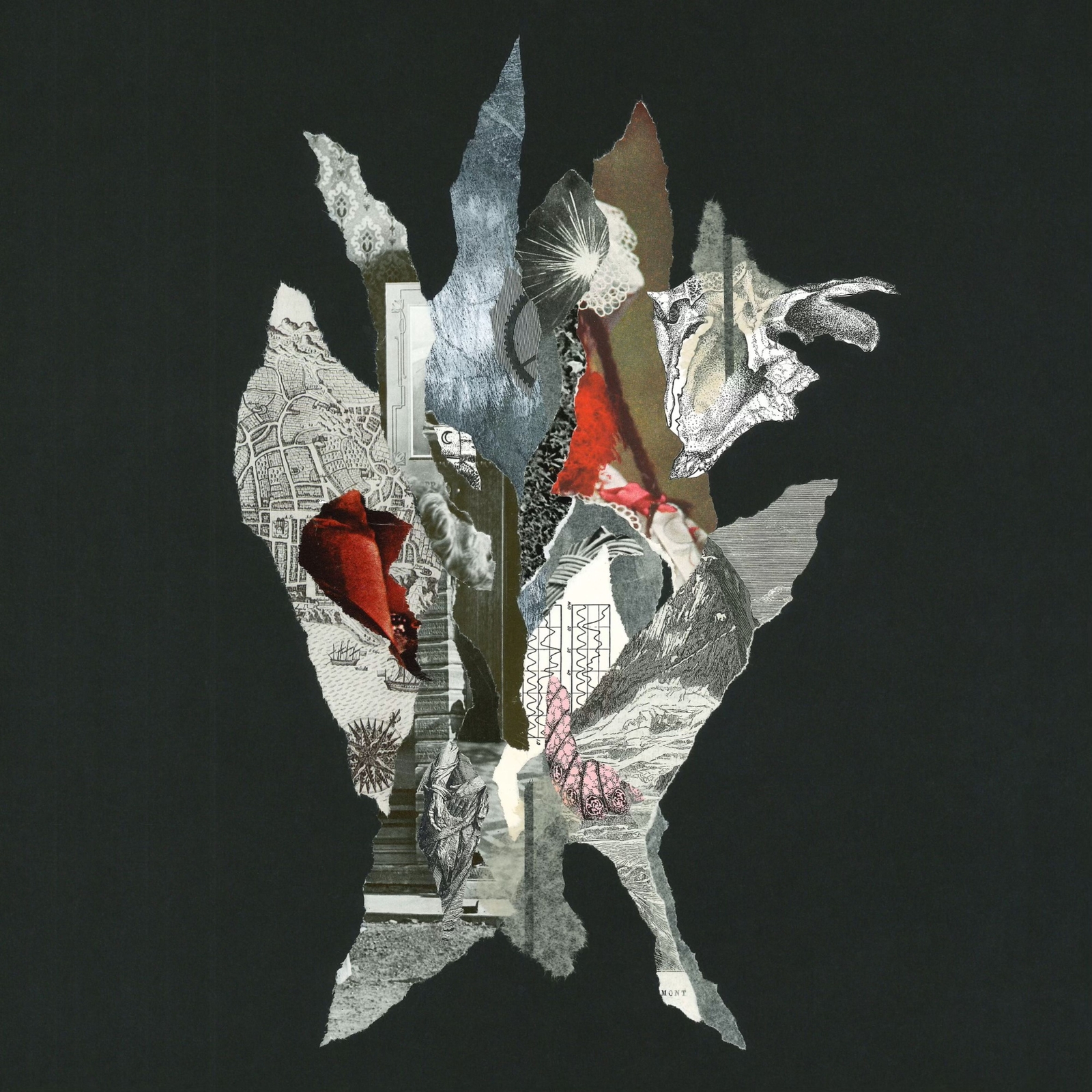 Alas de Liona Gravity of Gold (CD) Album