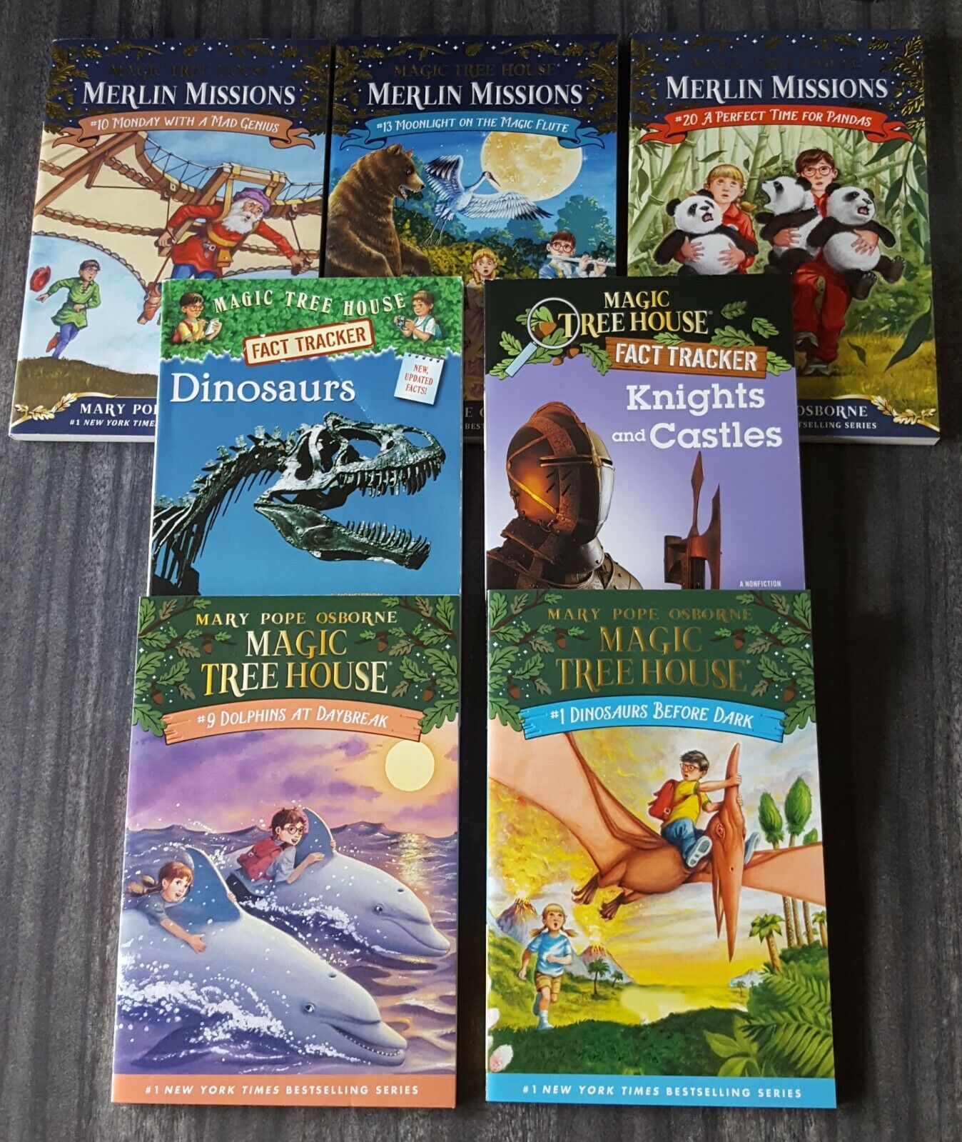 Knights and Castles, Magic Tree House (R) Fact Tracker, Magic Tree House