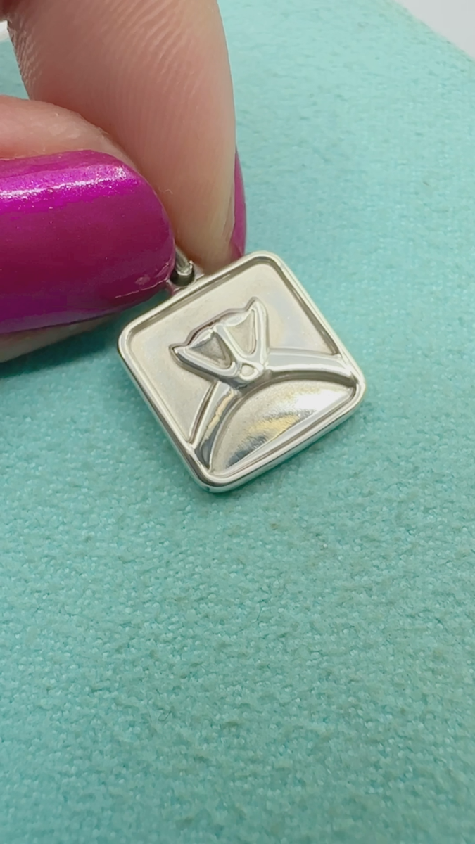 Tiffany & Co. 925 Silver 2012 Lexicon Diamond Ring Charm Pendant