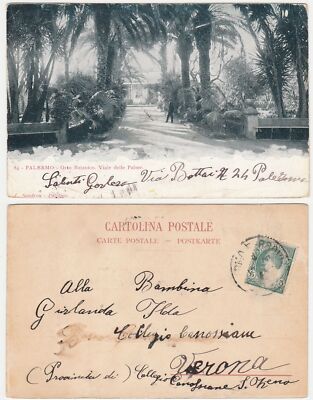 PALERMO - BOTANICAL GARDEN - VIALE DELLE PALME - TRAVEL -22546-