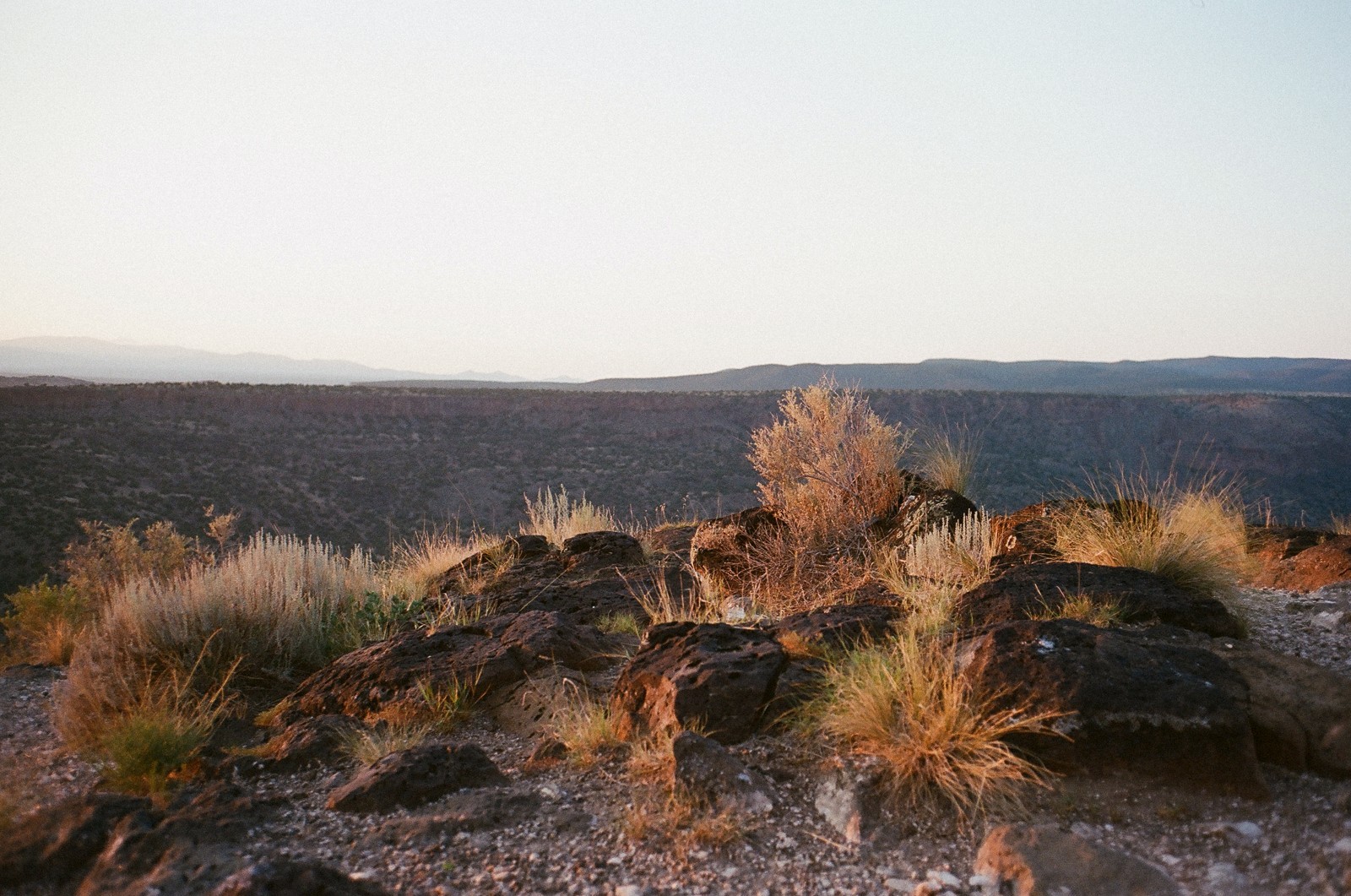 Leitz Leica 35mm f2.8 Summaron M Lens