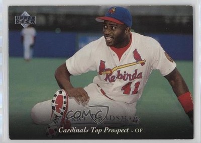 1995 Upper Deck Minor League Top Prospect Terry Bradshaw #35 10x0