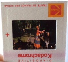 Diapositive d'agence (Slide) Brigitte BARDOT Bazoches animaux DIAPO