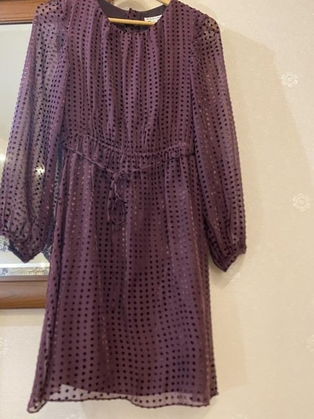 Women Whistles Dress Burgundy Viscose S