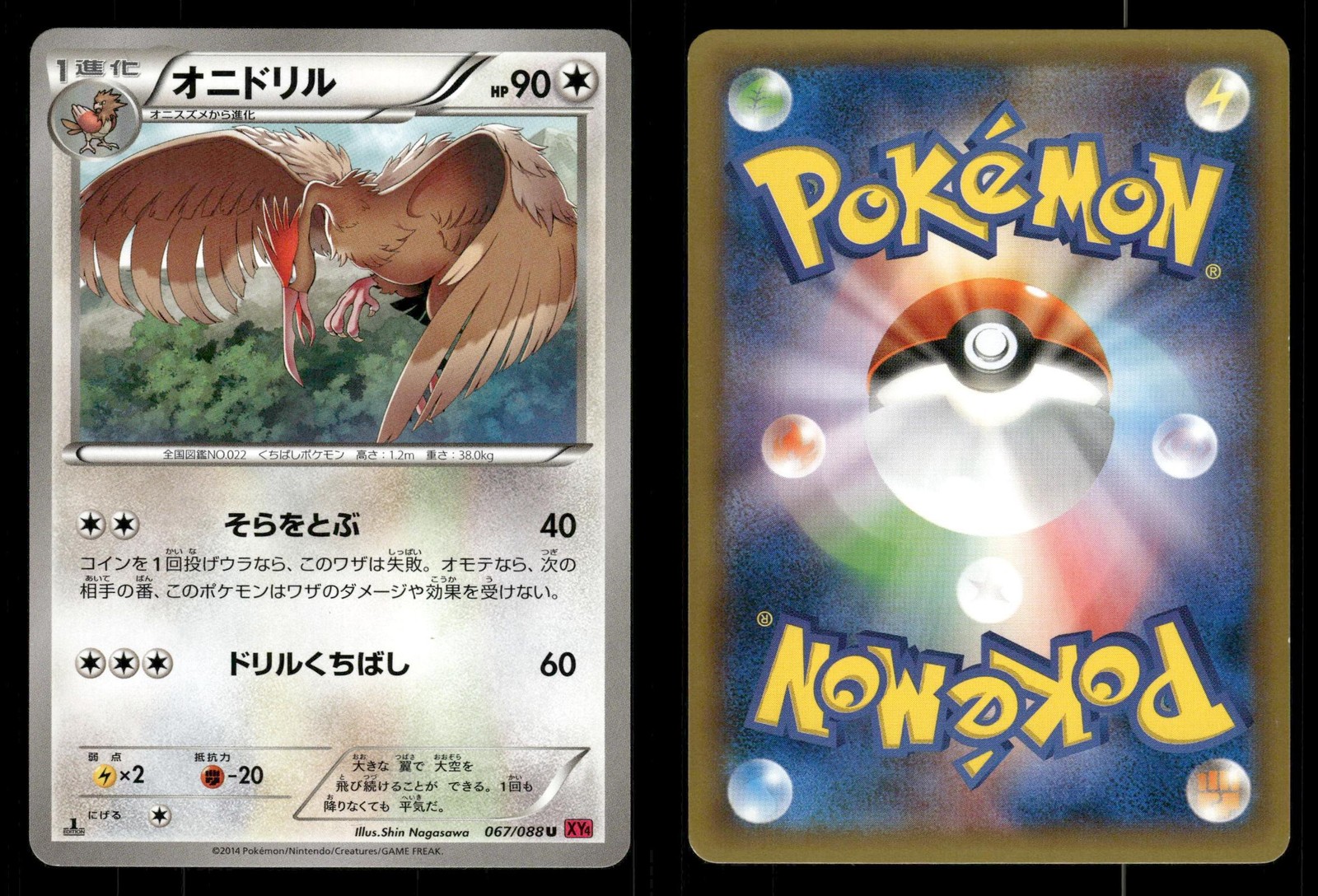Fearow 067/088 Phantom Gate XY4 Japanese MP