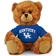 Kentucky Wildcats Stuffed Bear - 6"