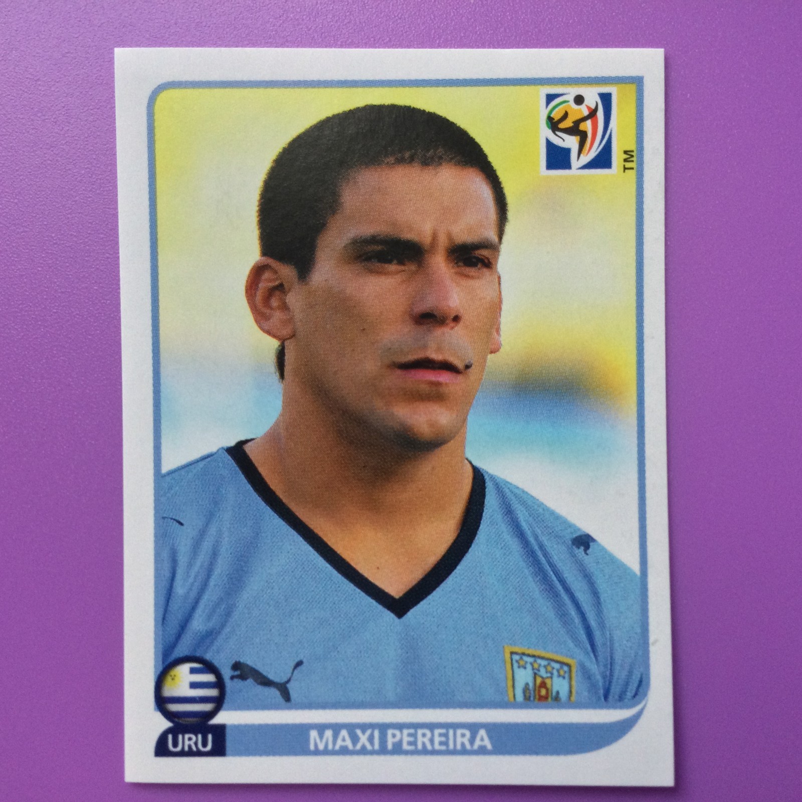 2010 Panini World Cup South Africa Stickers #00-249 Pick to Complete your Album