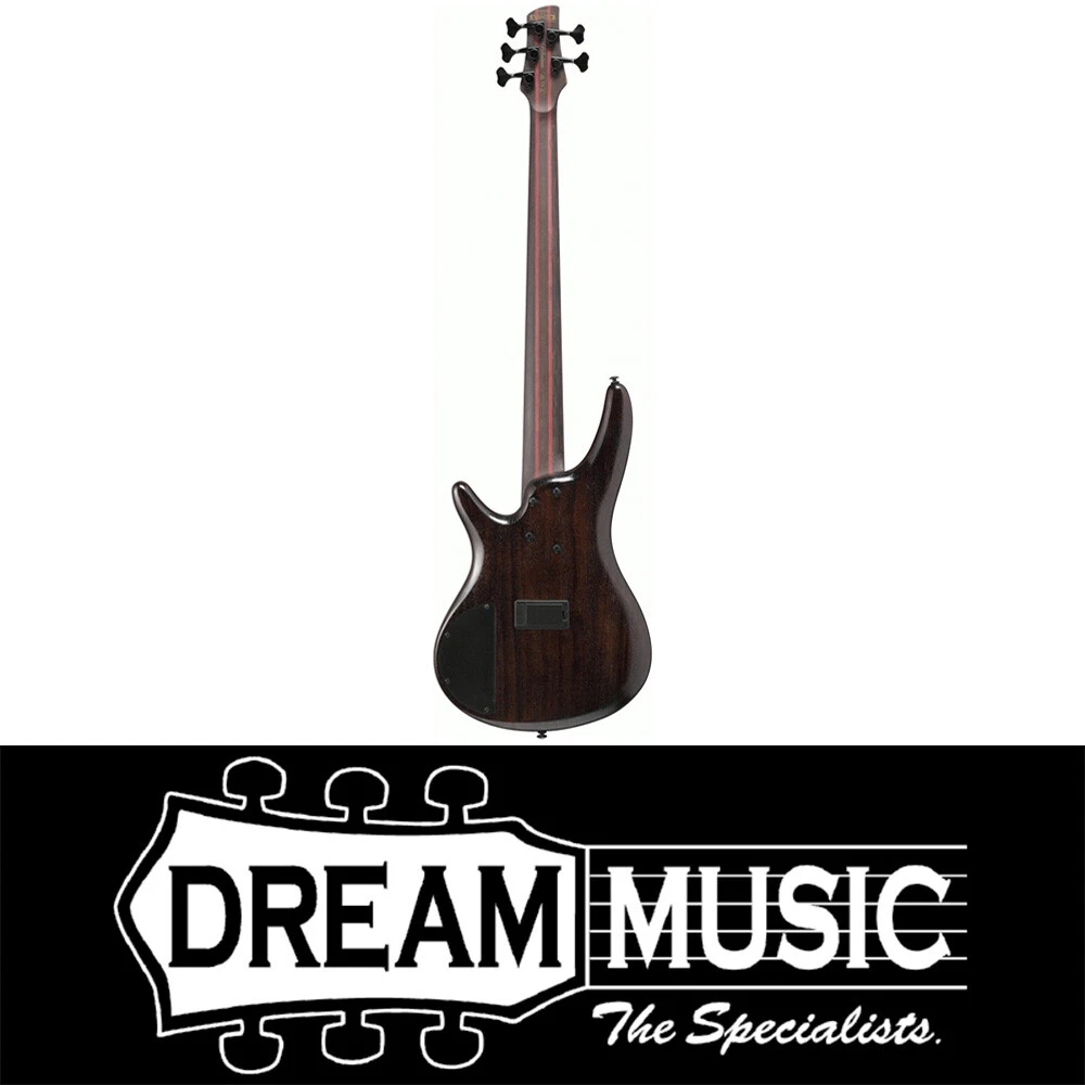 Ibanez 1305 2024