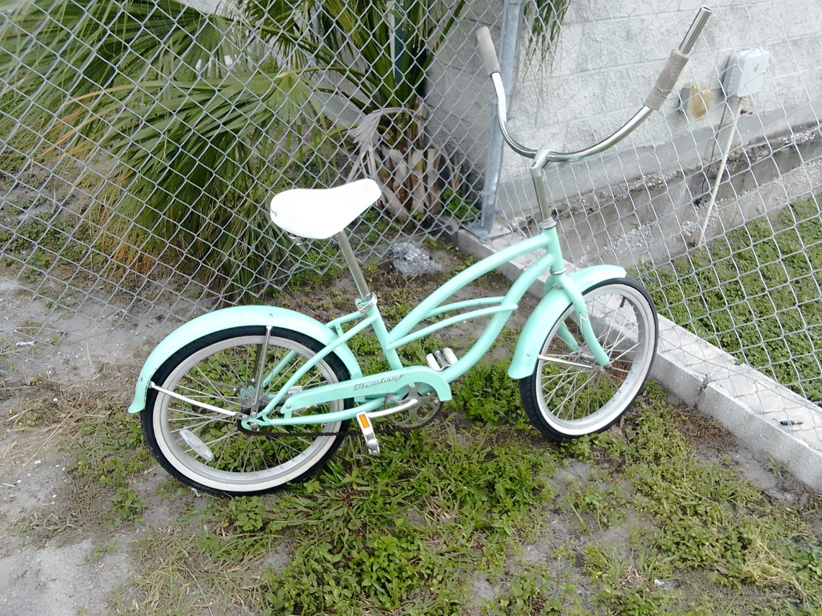 Aqua Firmsbong Beach Cruiser For Sale