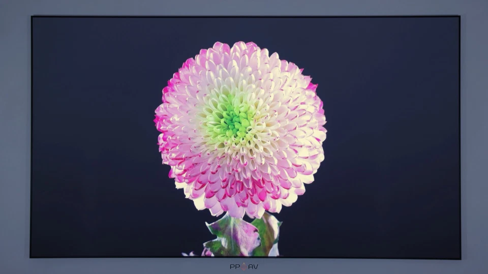 Acoustic Projector Screen UST ALR 80-200 inch 8K Fixed Frame - Phoenix Screens - Image 3 of 4