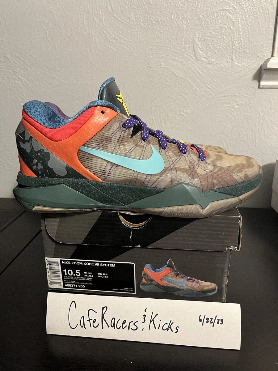 Nike Zoom Kobe 7 System What The Kobe for Sale | Authenticity