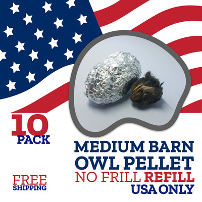 OBDK Barn Owl Pellets - 10 Pack - NO FRILL REFILL Includes Shipping USA