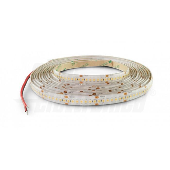Luce Calda 3000K Alpha Elettronica J | Striscia LED 240 LED/m 24V