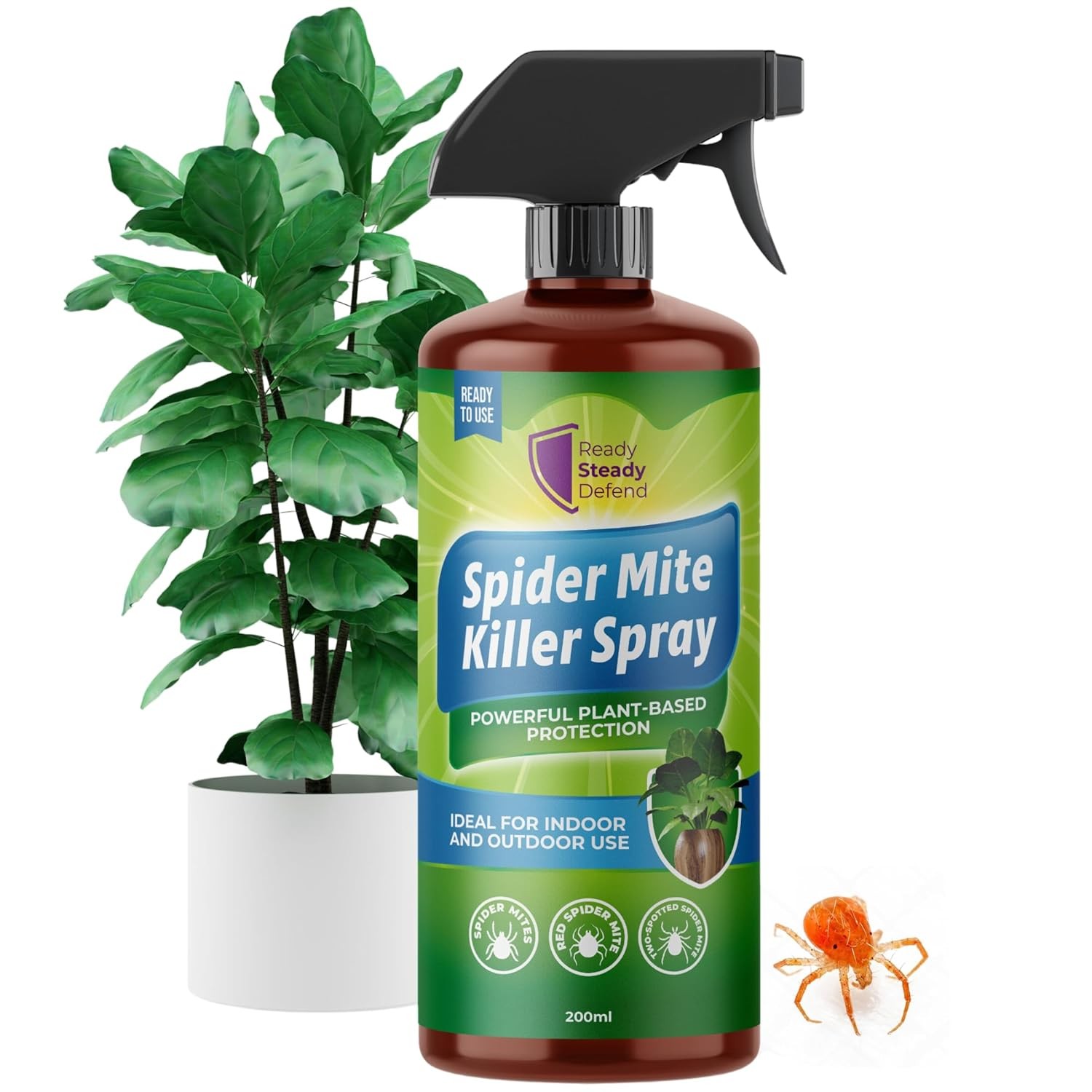 Spider Mite Killer Spray for Plants 200ml – Natural Insecticidal Soap – Kil