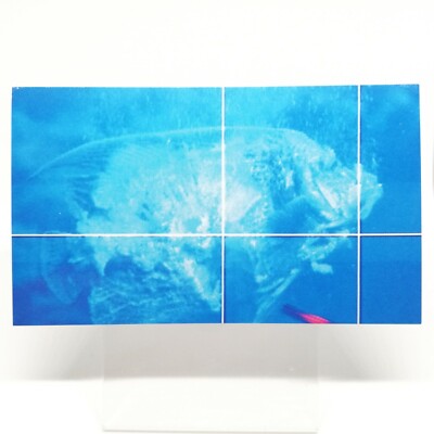 No.23 GodzillaVSDestroyer GOZILLA Card 100 Vol. 3 TOHO EIGA 1995 MOVE Japan