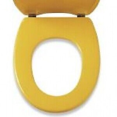 Pressalit Children Toilet Seat Pinocchio with Lid, Part Number 212000-BB5999