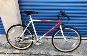 fuji 20 inch bike
