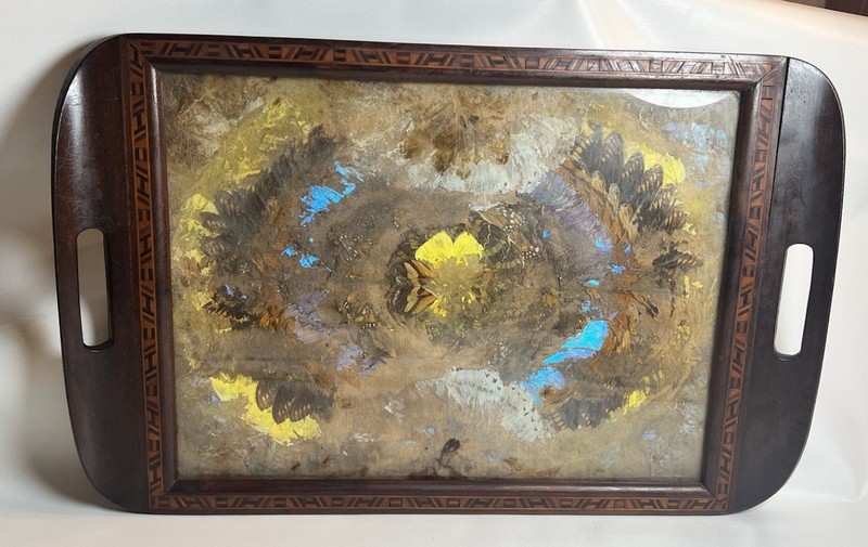 Vintage MCM Brazilian Morpho Butterfly Wing Mosaic Inlay Wood Serving Tray 