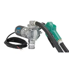 Gpi G20-012Ad Fuel Transfer Pump, 12V Dc, 20 Gpm Max. Flow Rate , 3/8 Hp, Cast