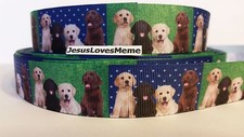 Grosgrain Ribbon, Labrador Retriever Puppies Dogs Black Chocolate Blond, 1" Wide