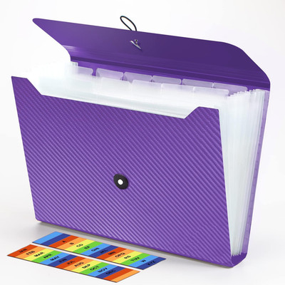 Expanding File Folder, 13 Pockets Accordian File Holder Organizer, A4 Letter Siz