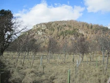 Photo A3 Brin Rock East Croachy  c2013