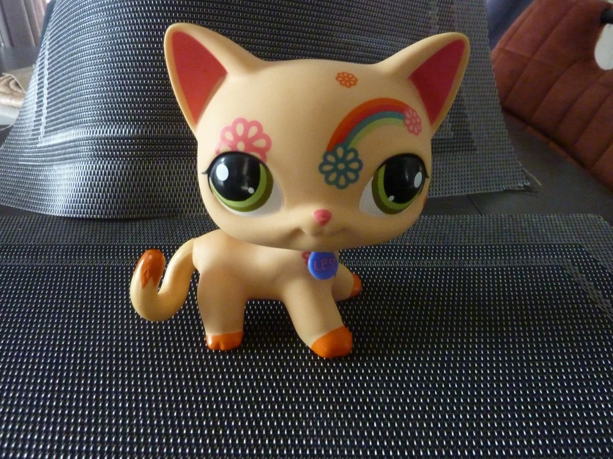 Petshop chat européen - Jeux & Jouets