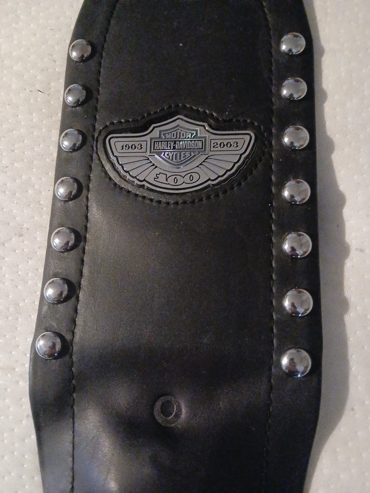 Harley Davidson 100 aniversario Foto 3 de 3