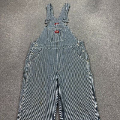 Dickies Latzhose Damen 28x32 blau Latzhose Workwear Denim Carpenter Lady