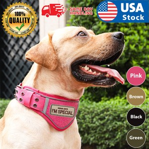 k9 tactical collar
