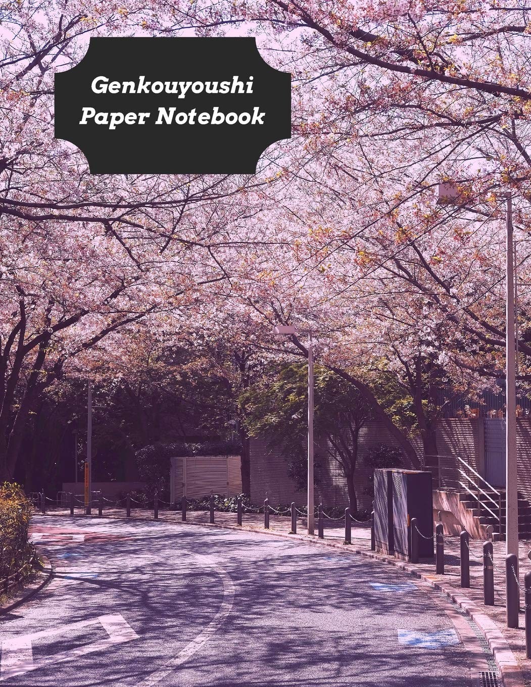 Genkouyoushi Paper Notebook: Practice Writing Kana & Kanji Characters ...