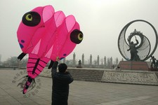 3D 8 Sqm 1 Line Stunt Parafoil Wizard Tadpole POWER Sport Kite outdoor toy