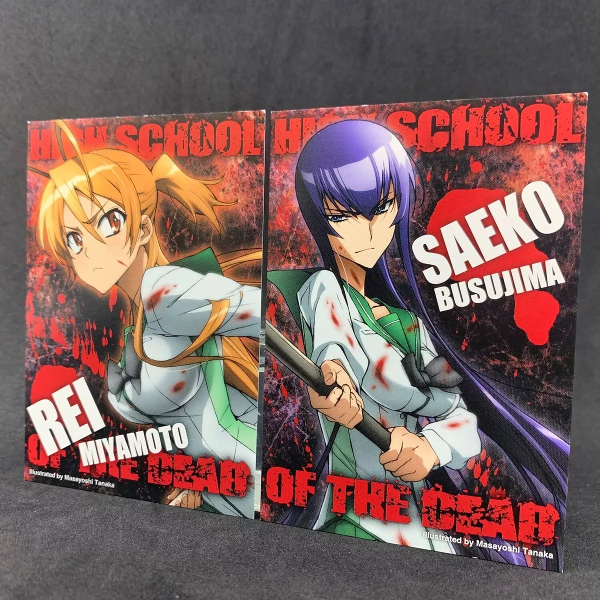 High School of The Dead SAEKO REI Set Profile Collectable Card