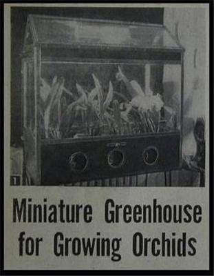Grow Orchids at Home Terrarium Wardian Case HowTo build PLANS