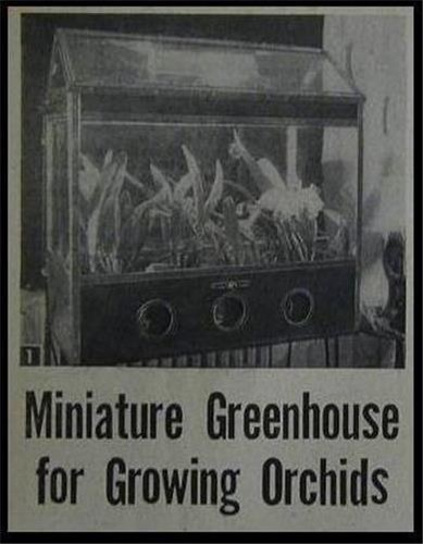Grow Orchids at Home Terrarium Wardian Case HowTo build PLANS
