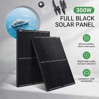 300W Solarpanel 12V Monokristallin 300 Watt Solarmodul Wohnmobil Balkonkraftwerk