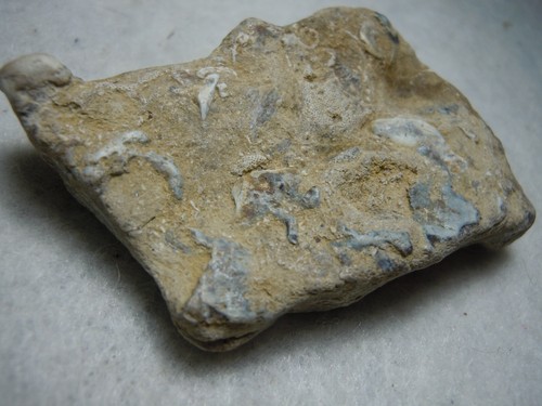 Plusieurs fossiles et yeux dans la matrice ancienne pierre de chert du Kansas États-Unis 25 grammes - Photo 6/12