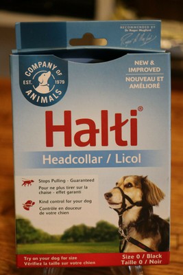 halti stop pulling