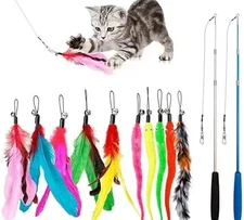 Cat Toys Feather Toy, 2PCS Retractable Wand and 10PCS Replacement Teaser