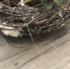Bild 8 von 8