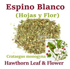 Espino blanco 1 LIBRA Hierbas Hawthorn berry leaf and flowers 1 POUND Herbs