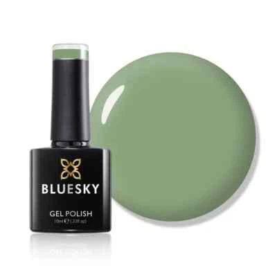 BLUESKY COSMETICS Bluesky Gel Politur - GET A BREAK SS2211 grün