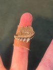 Calvert Cliffs Cow Shark Tooth (Megalodon Era)