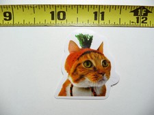 FUNNY CAT KITTEN SMALL STICKER DECAL HIPPIE HIPPY PET FELINE FUNNY