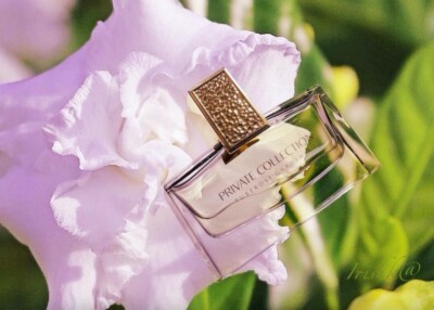 カジ〈ESTÉE LAUDER〉 チュベローズガーデニアEDP75ml カジ〈ESTÉE LAUDER〉 チュベローズガーデニアEDP75ml New Estee