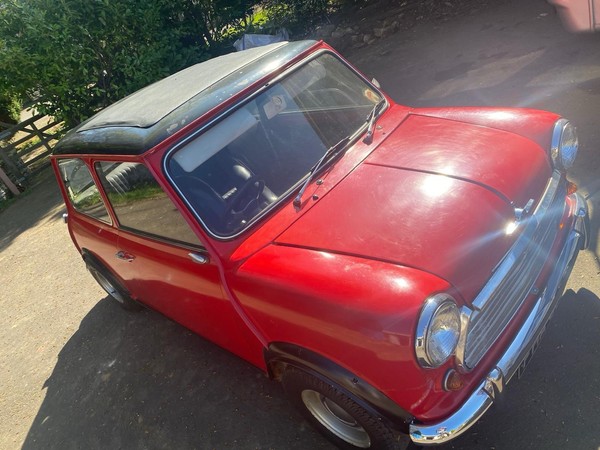 Image Placeholders2_edited.jpg