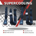 <!--F#f_0-->2 Sets Universal 2 Point Auto Car Seat Safety Belt Retractable Adjustable Lap AU<!--F/-->