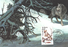GRAY WOLF  MINNESOTA WILDLIFE 1987 FLEETWOOD FIRST DAY CANCEL MAXIMUM CARD