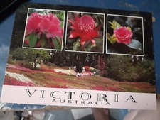 postcard new victoria flowers australia